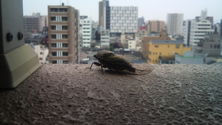 2010-07-09 08.00.50.jpg