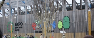 IMG-0005-Original.jpg