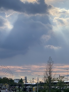 IMG-0764.jpg