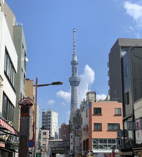 IMG-9101.jpg