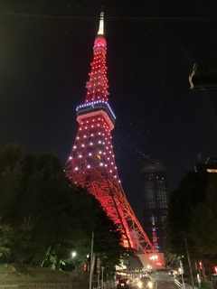 IMG-9115.jpg