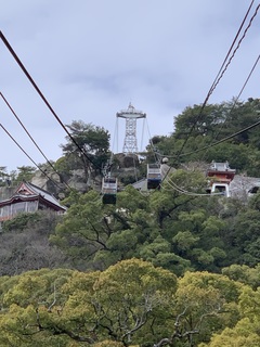 IMG-9799.jpg