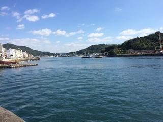 IMG_0884.JPG