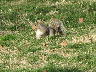 IMG_2682.JPG