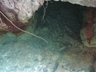 IMG_4435.JPG